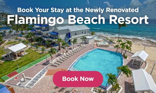 Flamingo Beach Resort in St Maarten