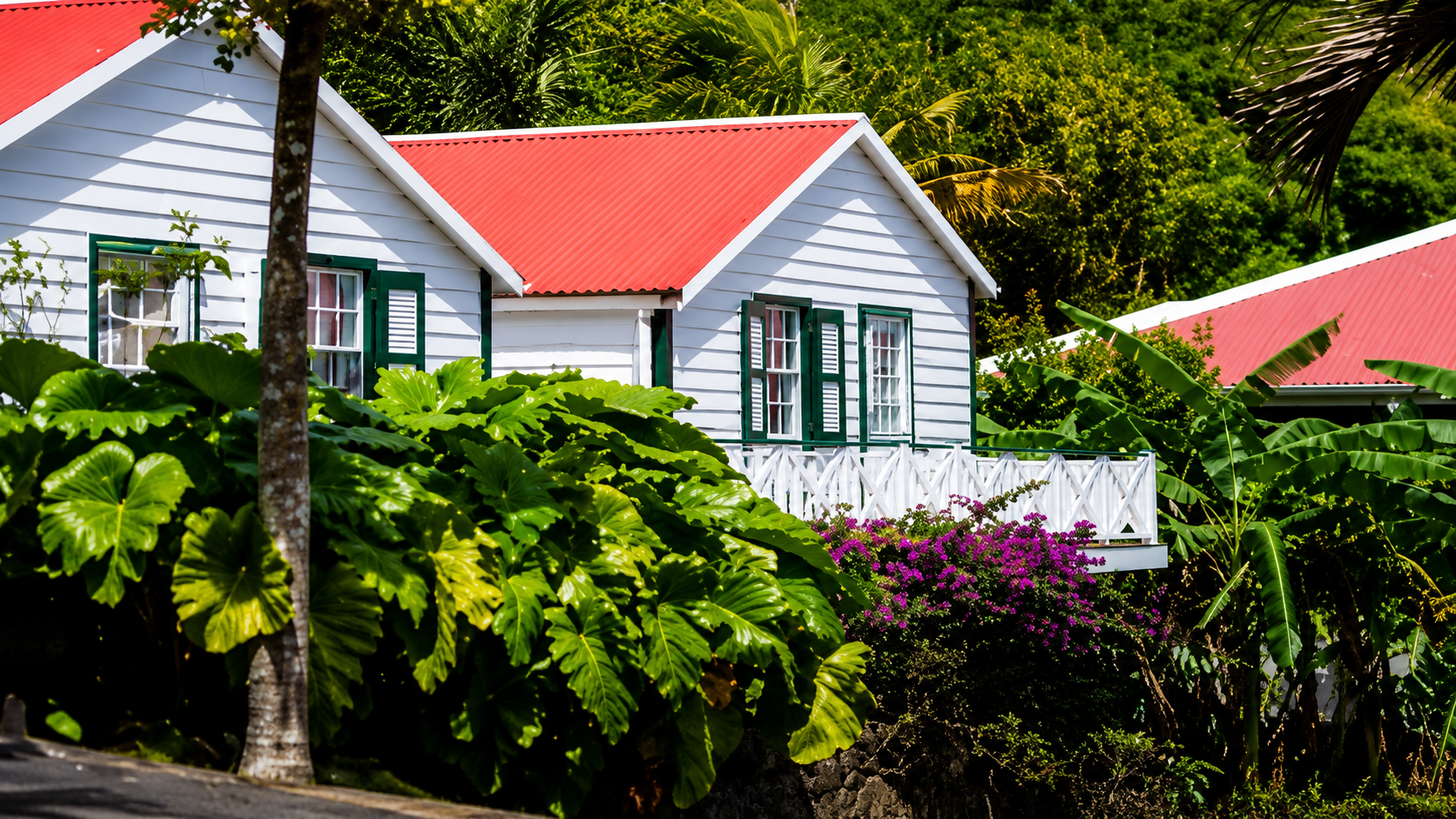 The Cottage Club Hotel in Saba surrounded by tropical gardens